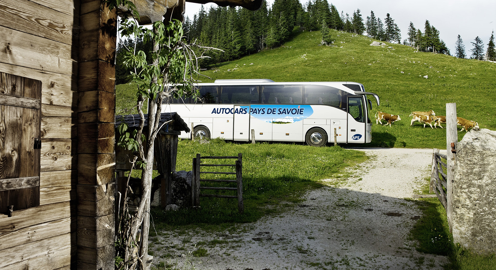 Location car La Roche sur Foron